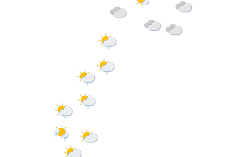 Forecast