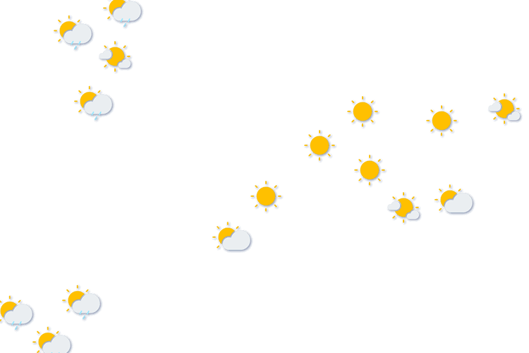 Forecast