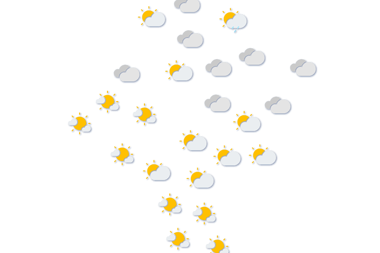 Forecast