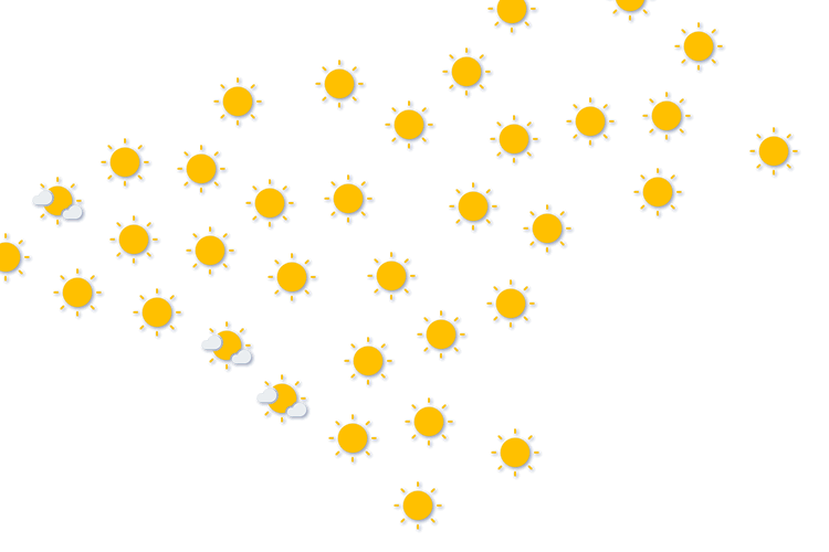 Forecast