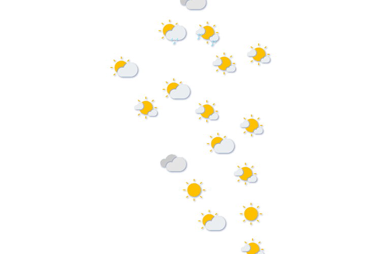 Forecast