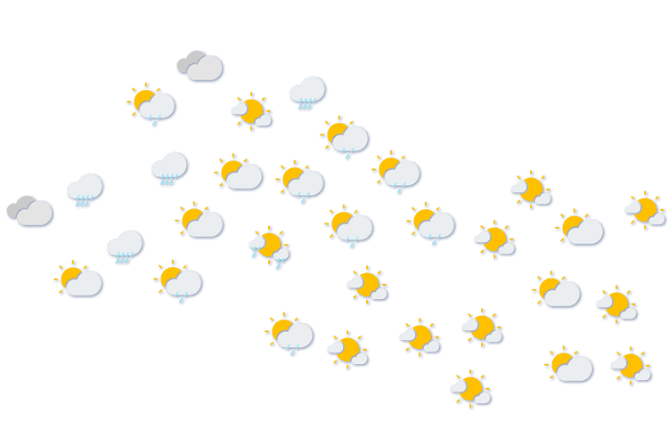 Forecast