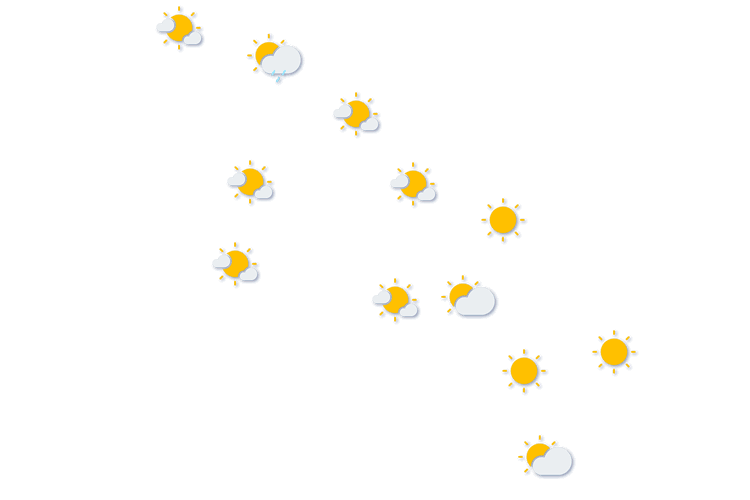 Forecast