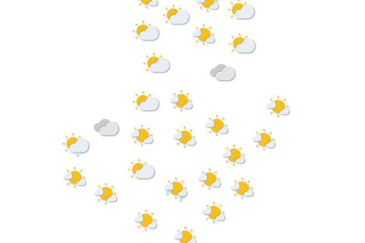 Forecast