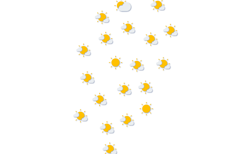 Forecast