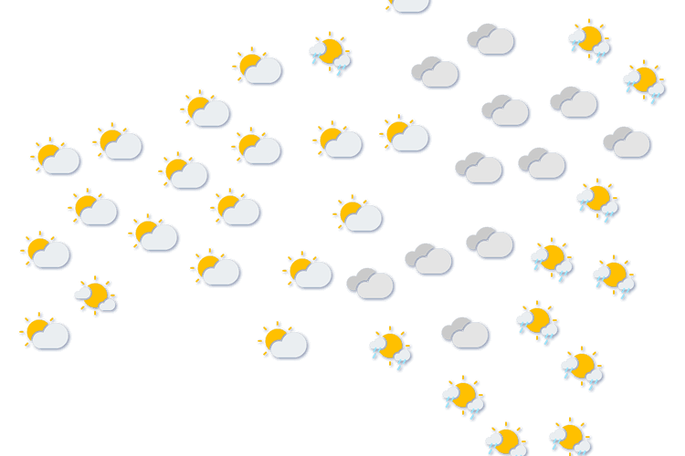 Forecast