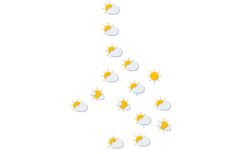 Forecast