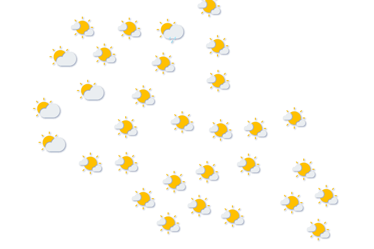 Forecast