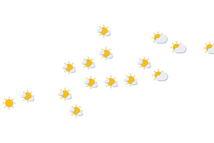 Forecast