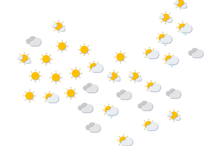 Forecast