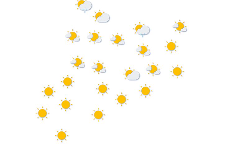 Forecast