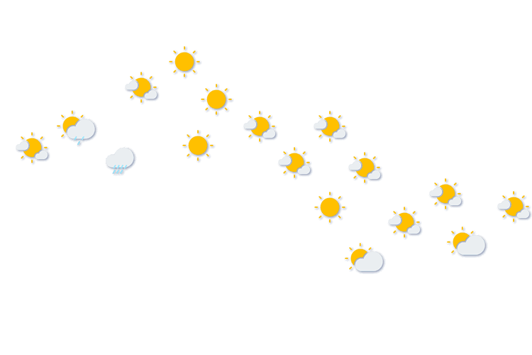 Forecast