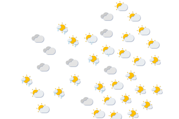 Forecast