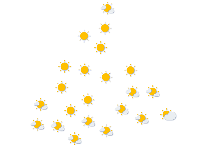 Forecast
