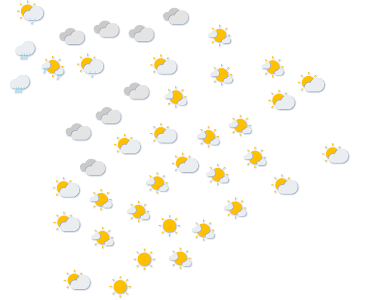Forecast