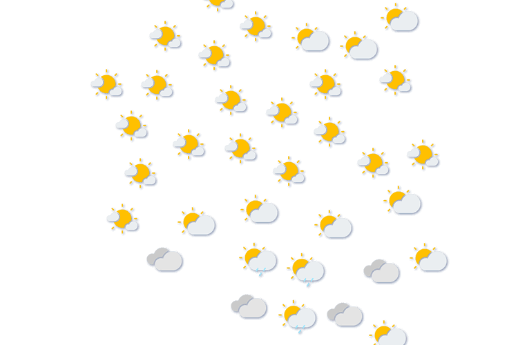 Forecast