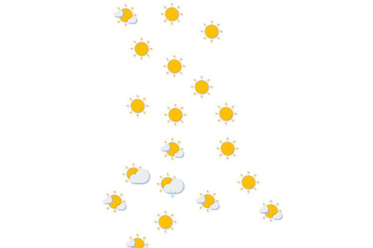 Forecast