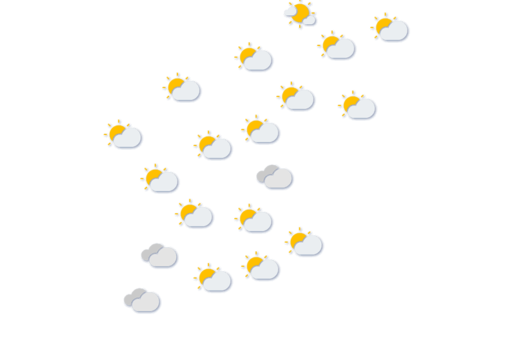 Forecast