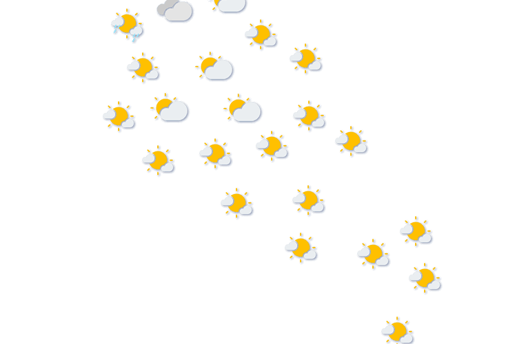 Forecast