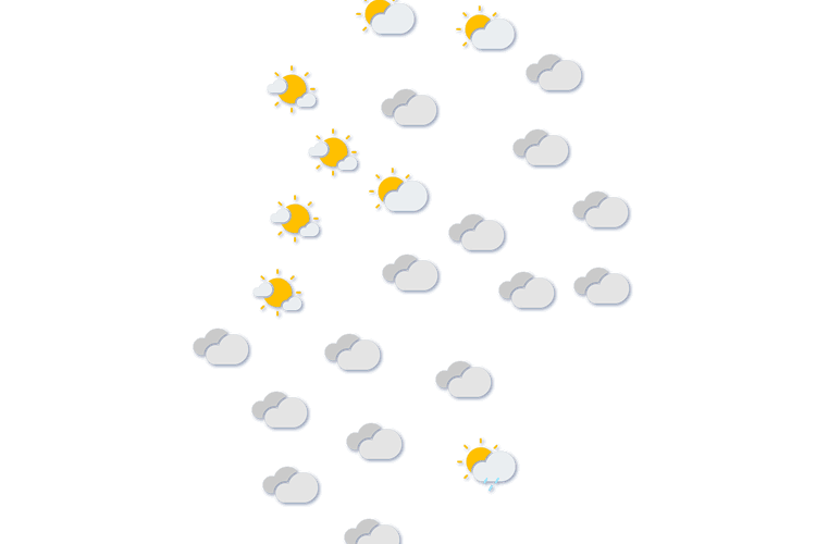 Forecast