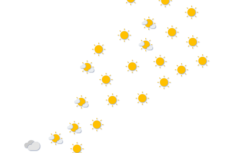 Forecast