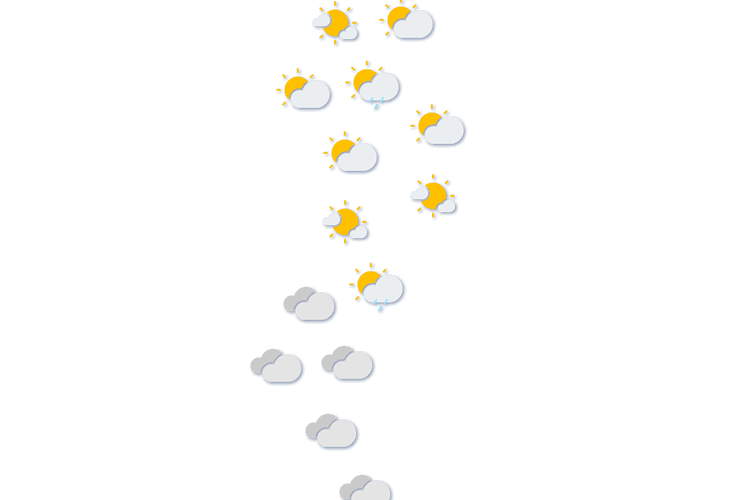 Forecast