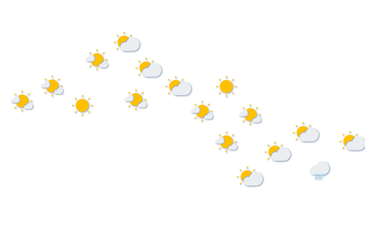 Forecast