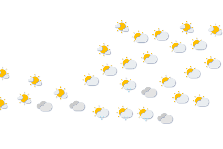 Forecast
