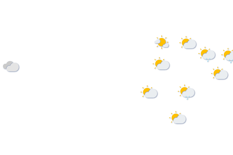 Forecast