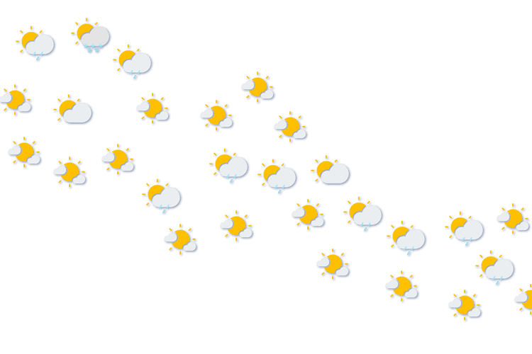 Forecast