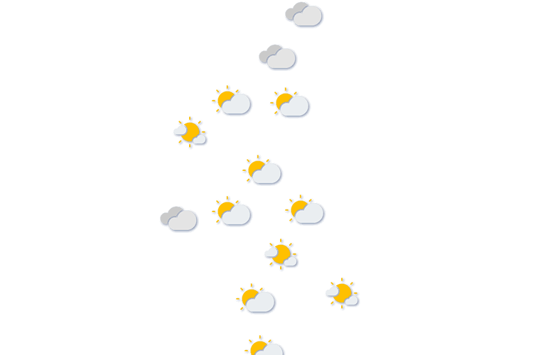 Forecast