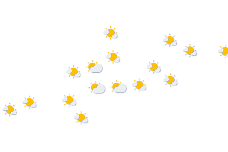 Forecast