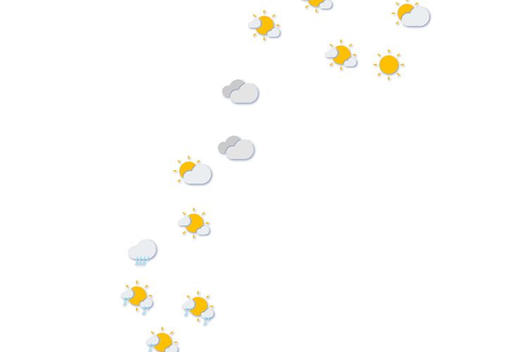 Forecast