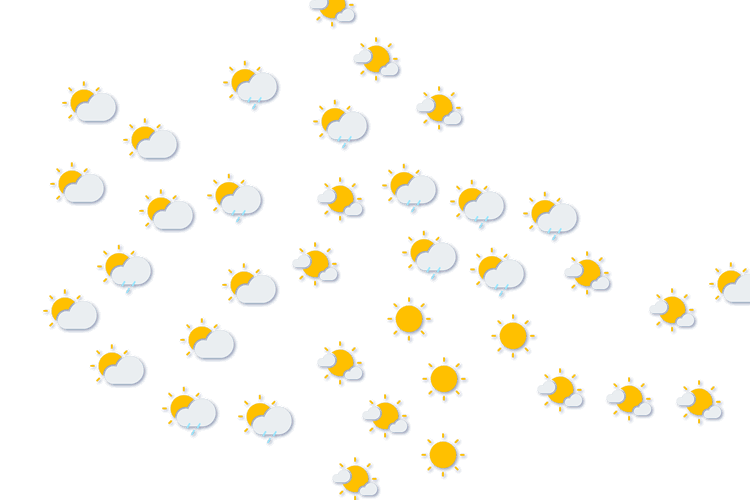 Forecast