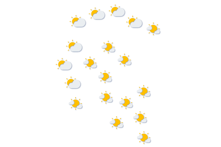 Forecast
