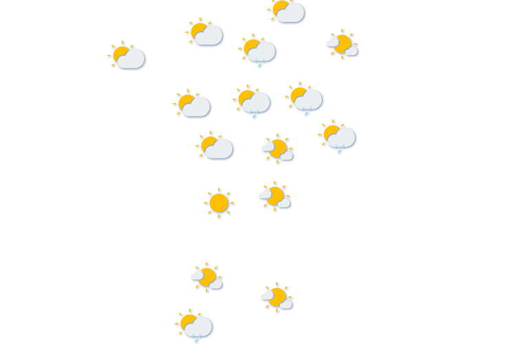 Forecast