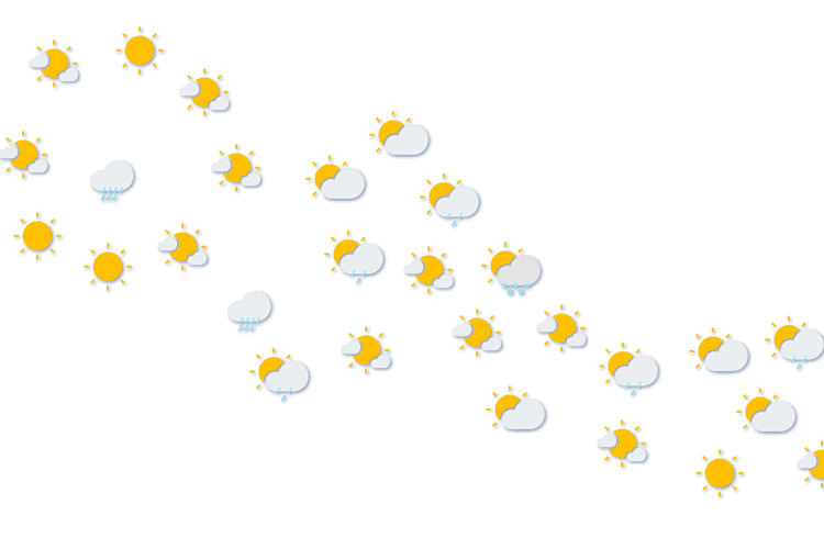 Forecast