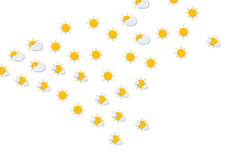 Forecast
