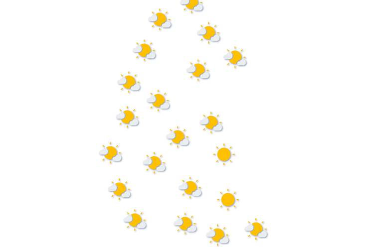 Forecast
