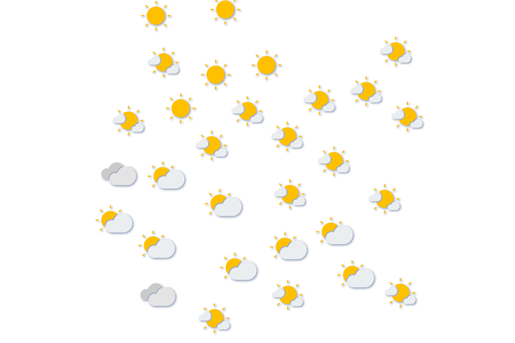 Forecast