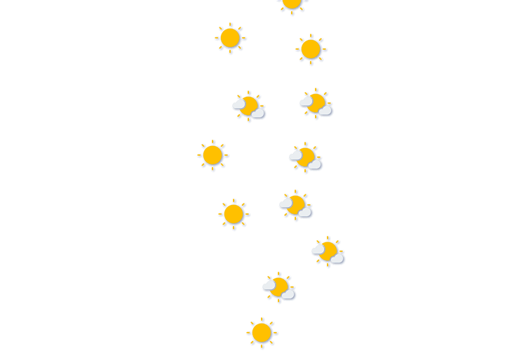 Forecast