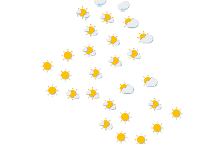 Forecast