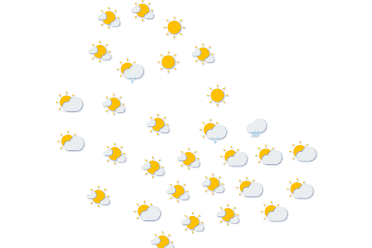 Forecast