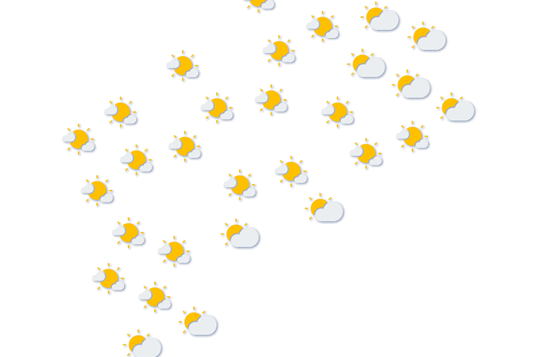 Forecast