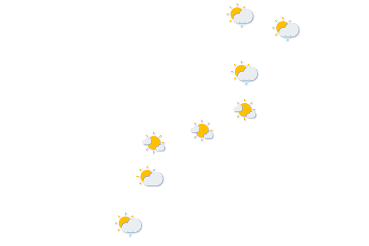 Forecast