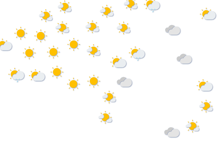 Forecast