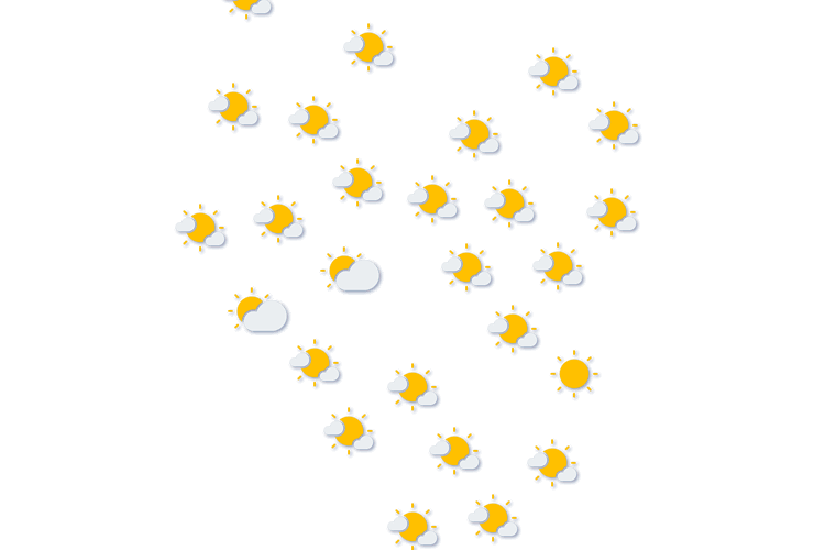 Forecast