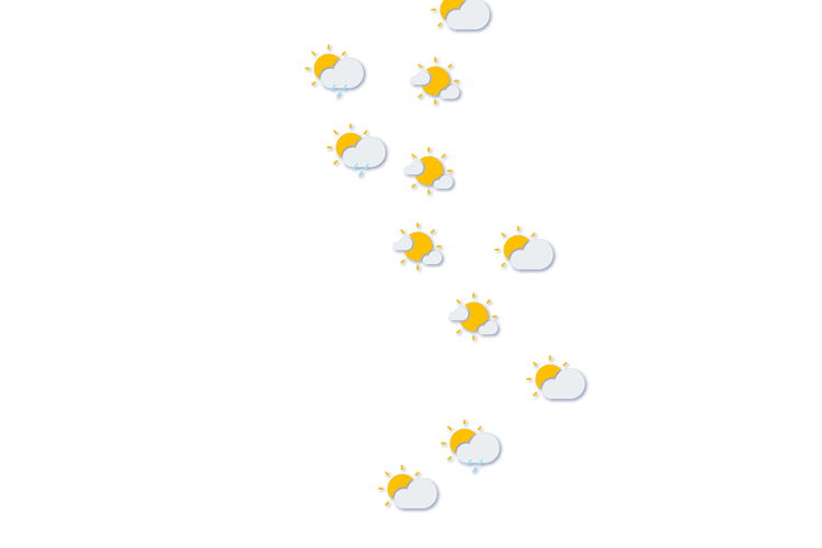 Forecast