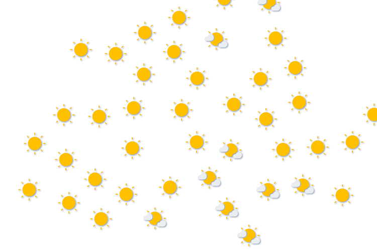 Forecast