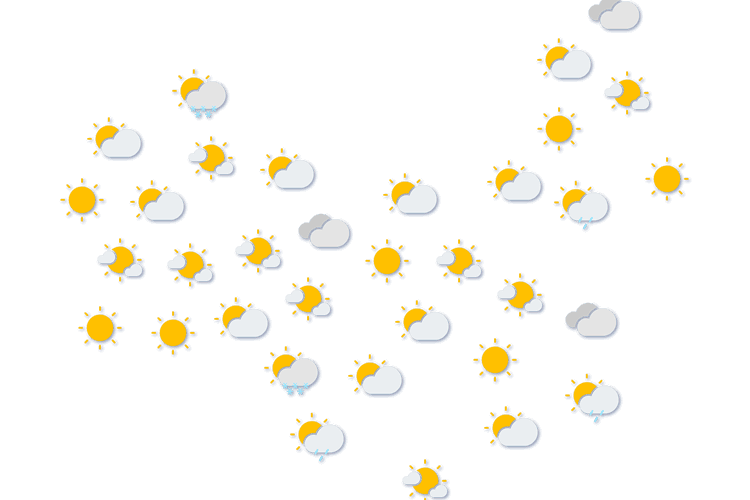 Forecast